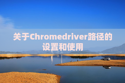 关于Chromedriver路径的设置和使用